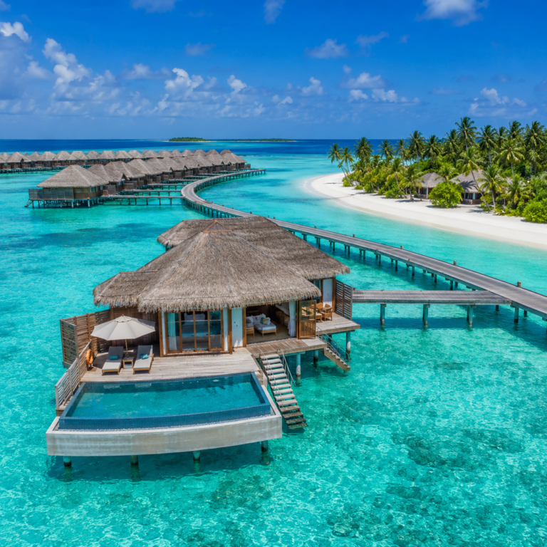 maldivies